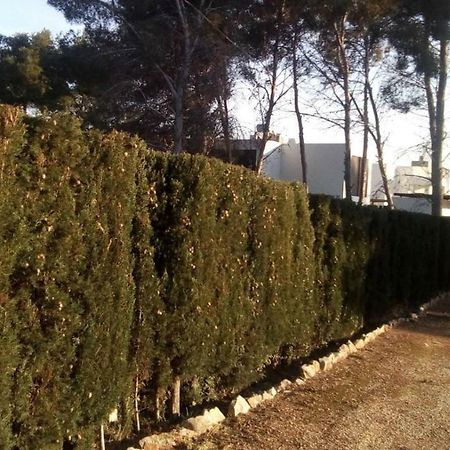 Pinomar Daire Teulada Dış mekan fotoğraf