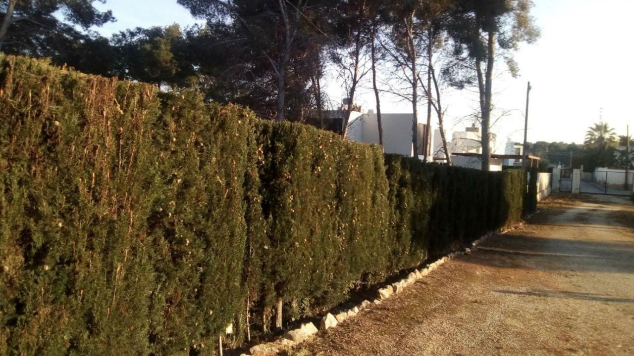 Pinomar Daire Teulada Dış mekan fotoğraf