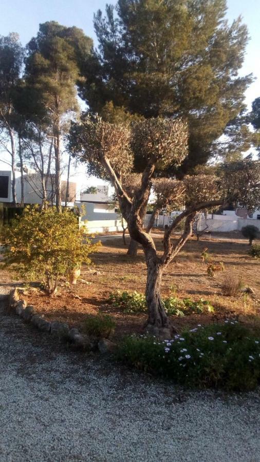 Pinomar Daire Teulada Dış mekan fotoğraf